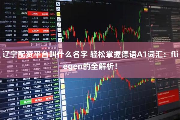 辽宁配资平台叫什么名字 轻松掌握德语A1词汇：fliegen的全解析！